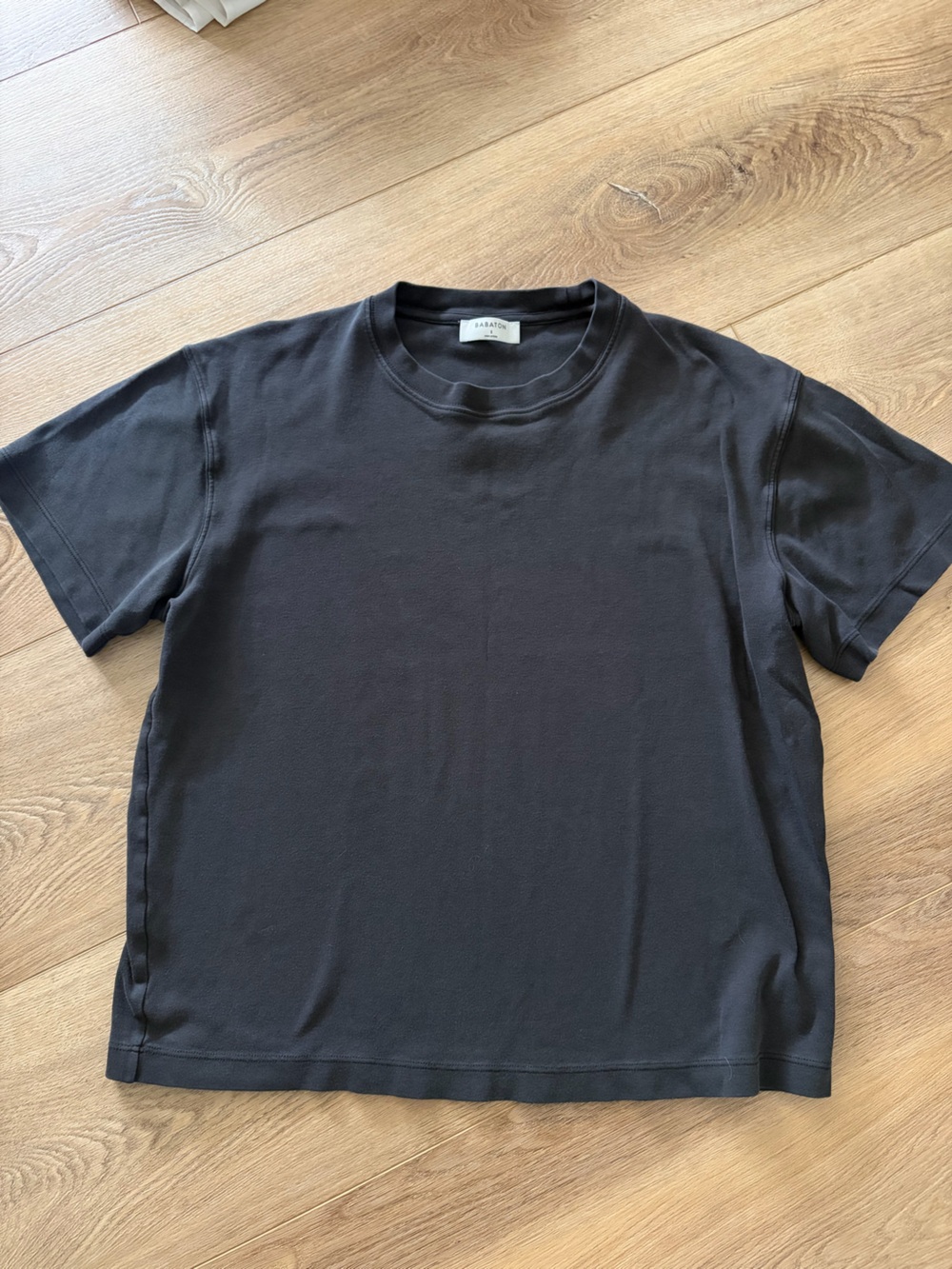 Aritzia Babaton Pegasus T Shirt